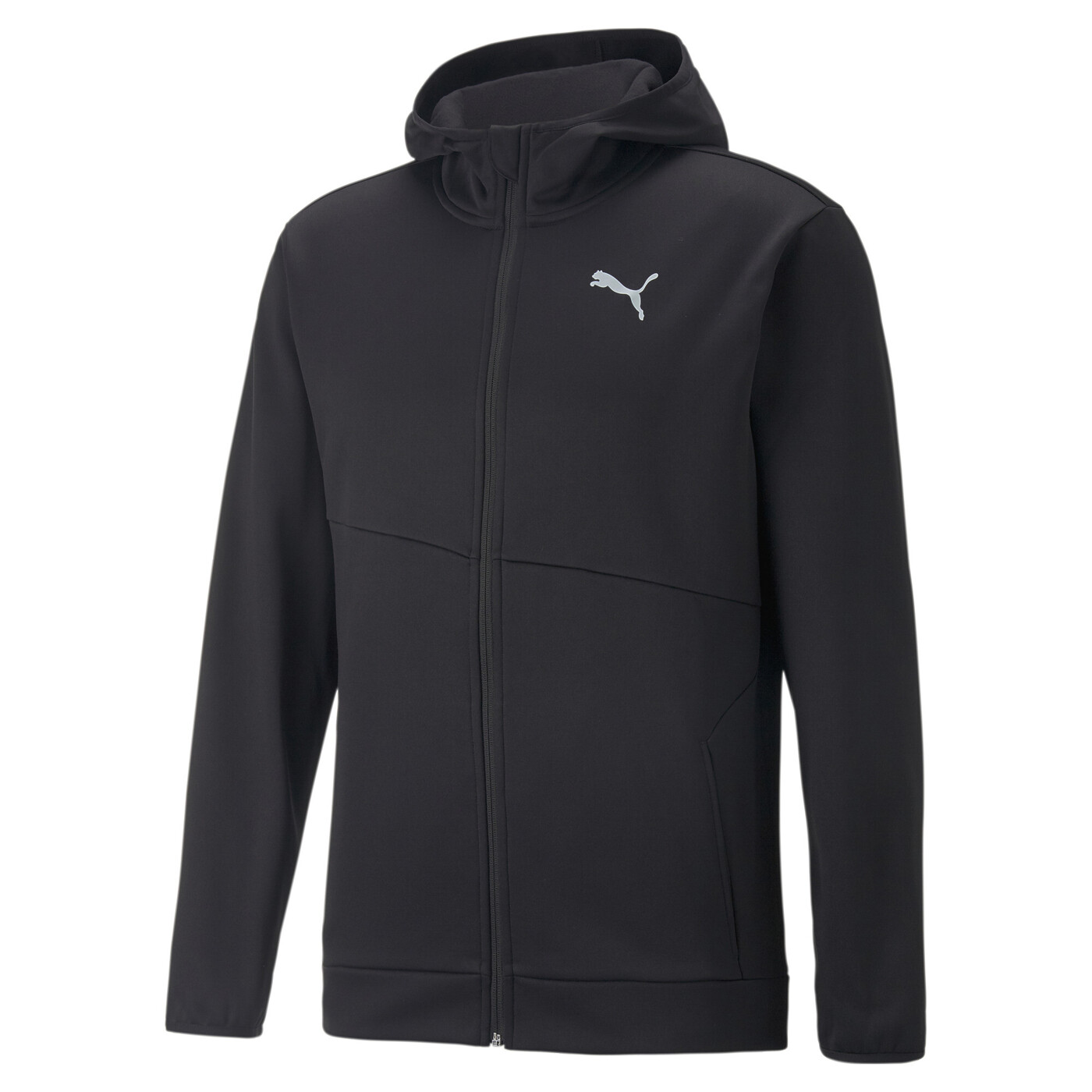 PUMA TRAIN ALL DAY PWRFLEECE FU - Herren