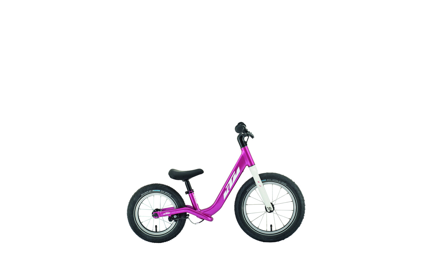 KTM WILD BUDDY 12